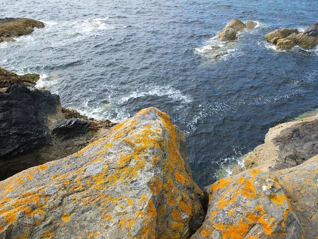Seaview- Cadmium Ochre Moss Rocks by Alison Gracie