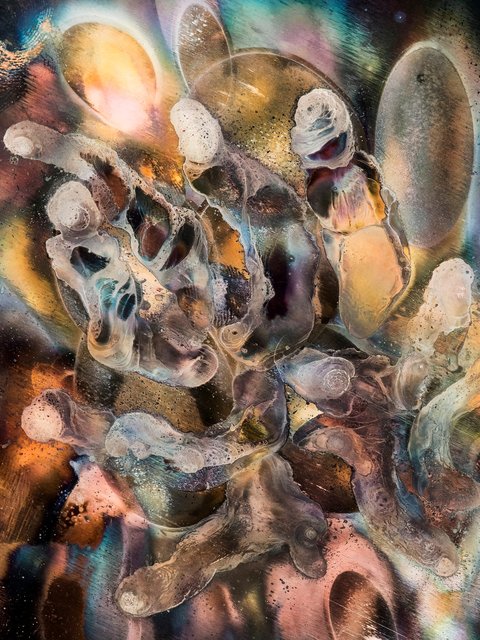 Evolutionary Time And The Trauma Manifesto