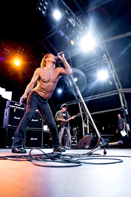 Iggy and the Stooges