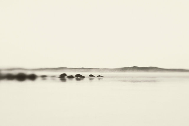 Purity of consciousness