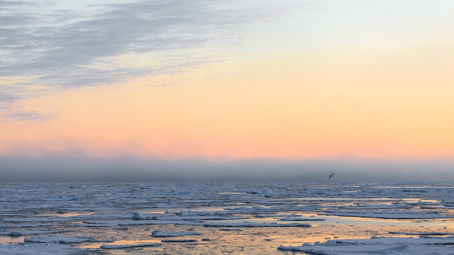 polar dawn