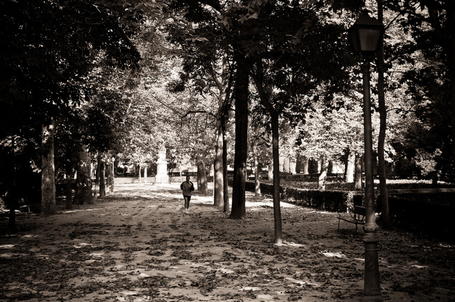 A jogger in El Retiro park 