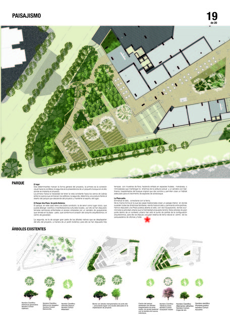 Planchas del concurso / Competition boards