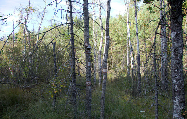 _MG_7335.jpg
