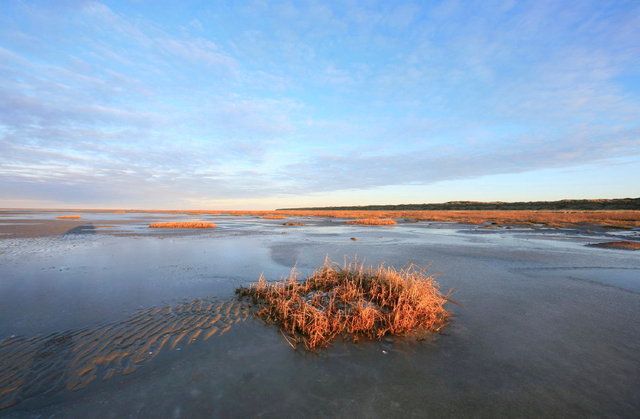 strand schiermonnikoog