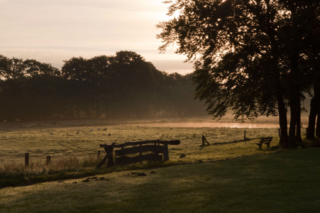 Ochtend in het Beekdal