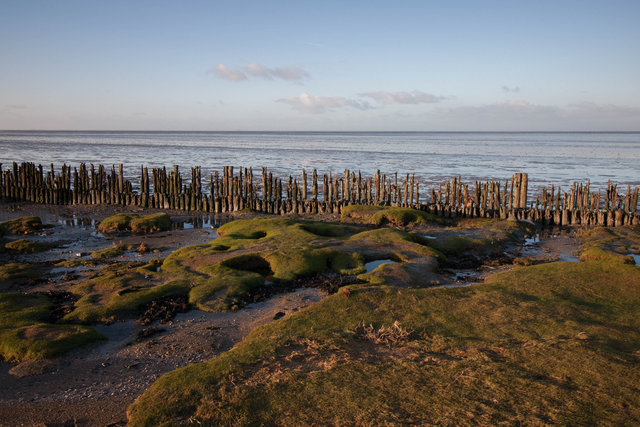 Paesens-Moddergat