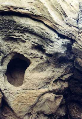 Tomb Face by Alison Gracie