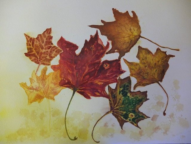 Autumn Leaves by Alison Gracie