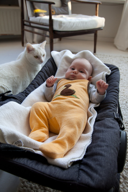 babycakes_0018.jpg