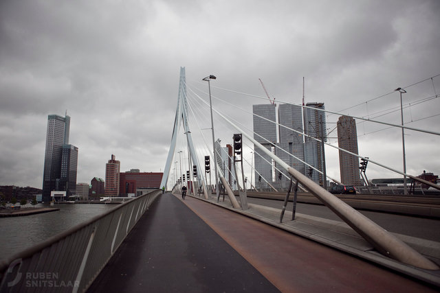_MG_8864.jpg