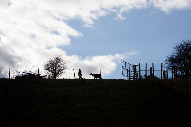 Gina Lamb, Hartpury College, Gloucestershire