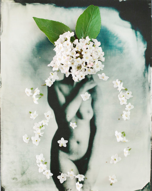FLOWERS_1_008.JPG