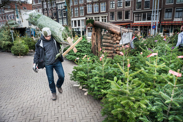 20131208-Kerstbomen.jpg