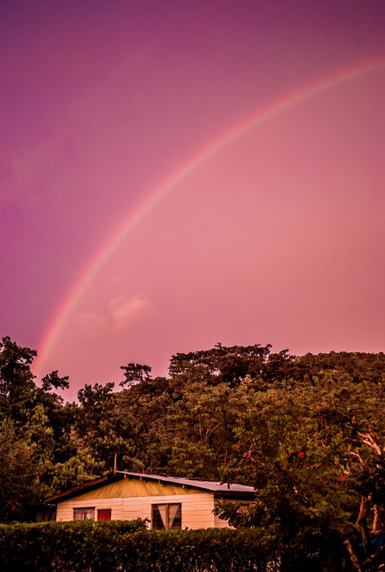 Treasure Beach, Jamaica. 2011.