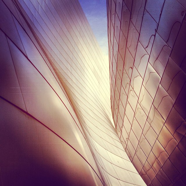 WALT DISNEY CONCERT HALL - ROSE 1