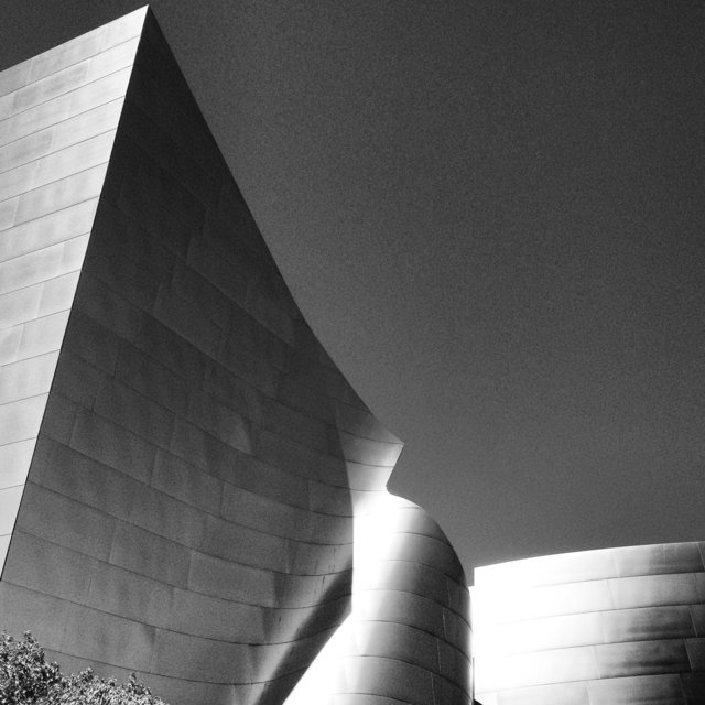 WALT DISNEY CONCERT HALL - B&W 7