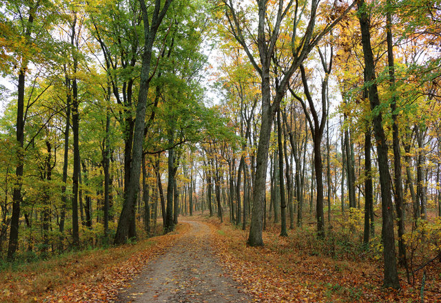 A country road in southern Ohio.