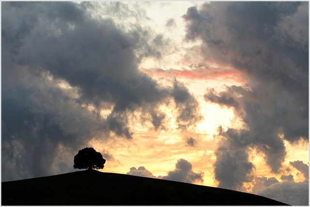 near buonconvento