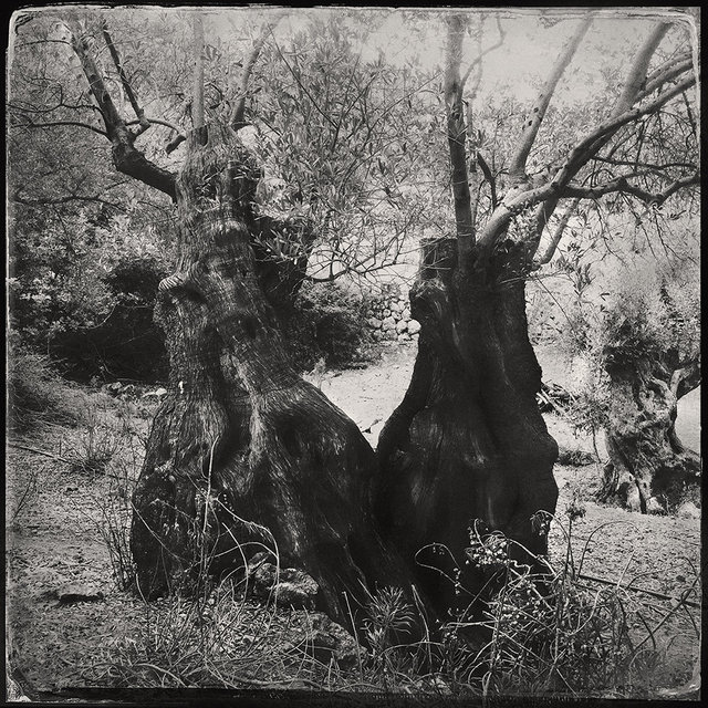 Gaia and Hemera