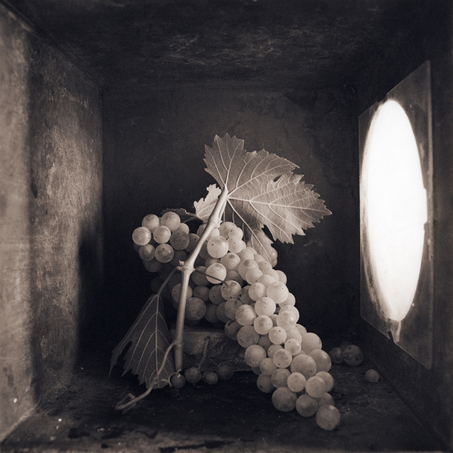 Grapes (Full Bunch), c 2000