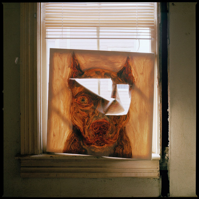 February 4, 2012, Study II