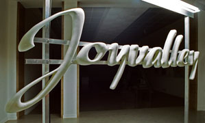 JOYVALLEY-detail-letters-LRV.jpg