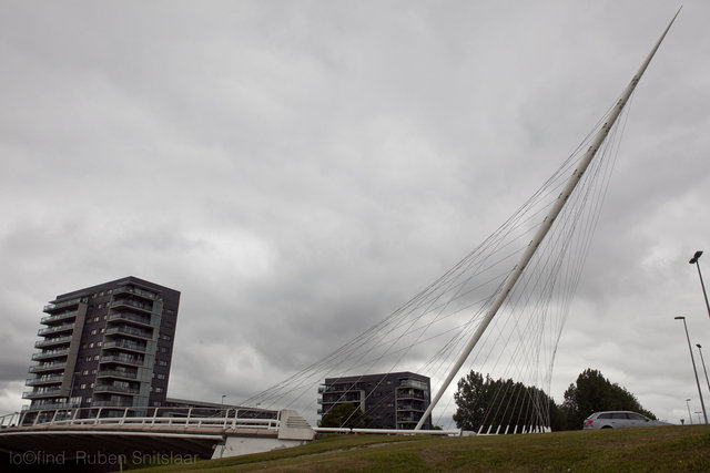 _MG_2737.jpg