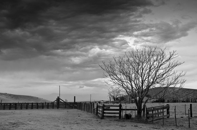 KeithSkeltonDesert (3 of 5).jpg