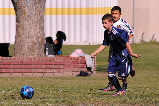 Lena_SMU2013-0951.jpg