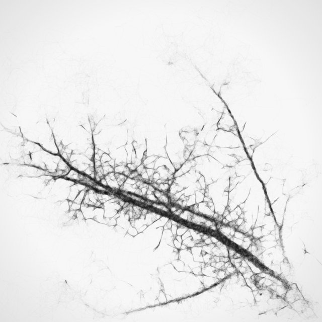 Trees 02