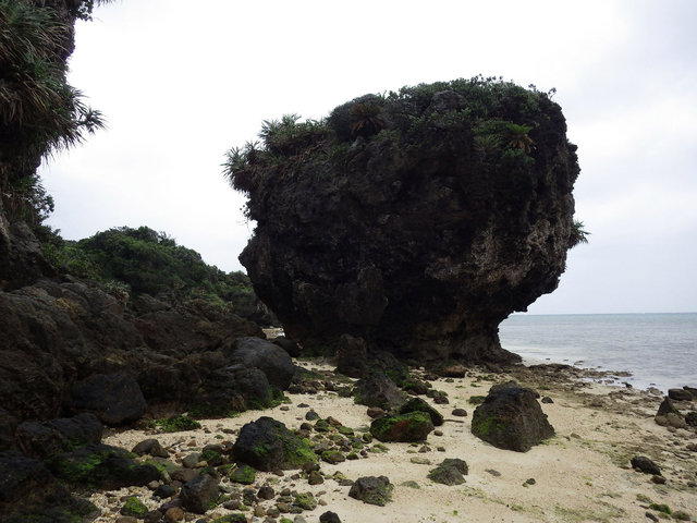 IMGP0863.JPG
