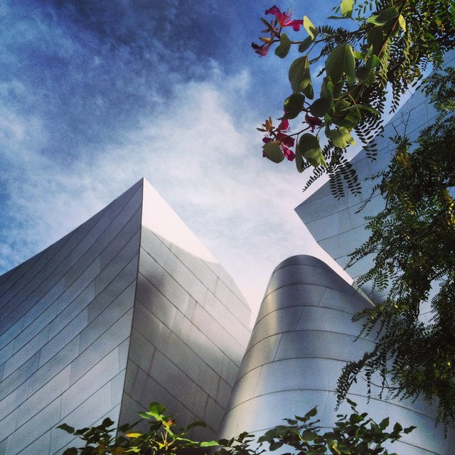 WALT DISNEY CONCERT HALL - BLUE 15