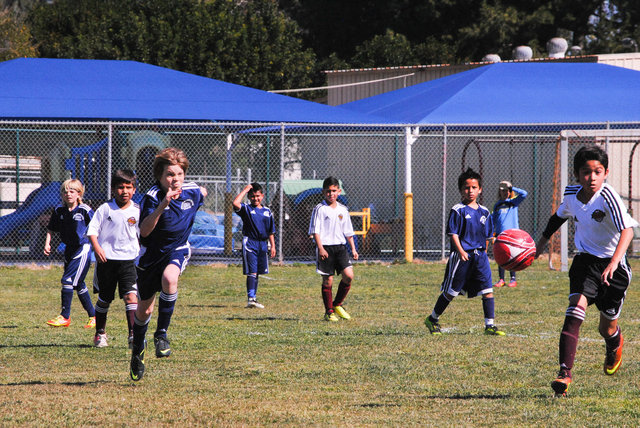 Lena_SMU2013-0962.jpg