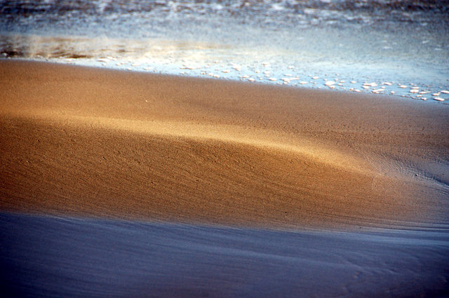 Delta del Ebro_0005.JPG