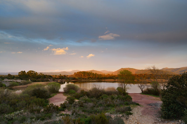 Plaine des Maures 1