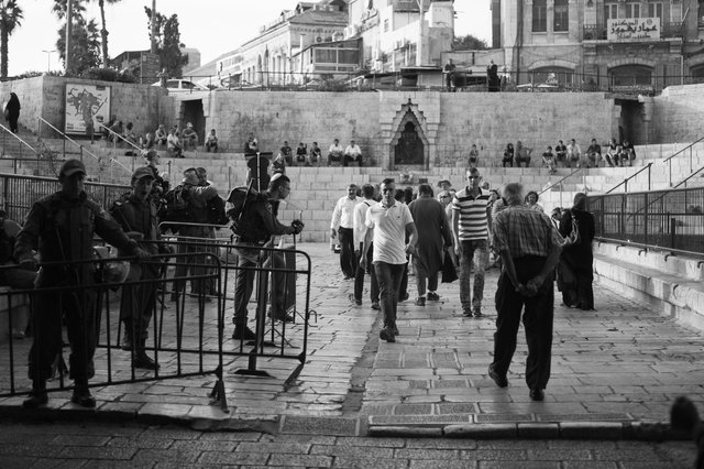 L1015737.jpg