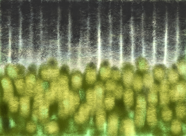 Deep Grass Dark Forest.