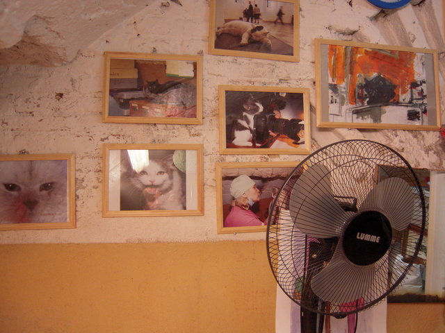 DSCN5941.JPG