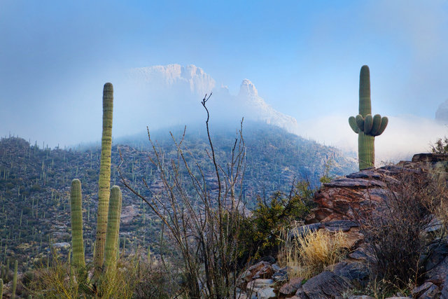 Pima Canyon I