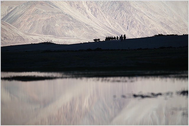 dunes, camels and lakes