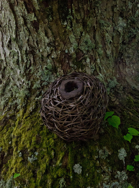 Installation from wood and rattan on the trees of the alley in Nääs, Sweden. 2015