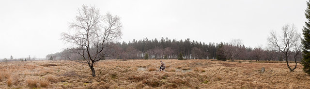 The Third Lie | Series of 6 panoramic images | 2012