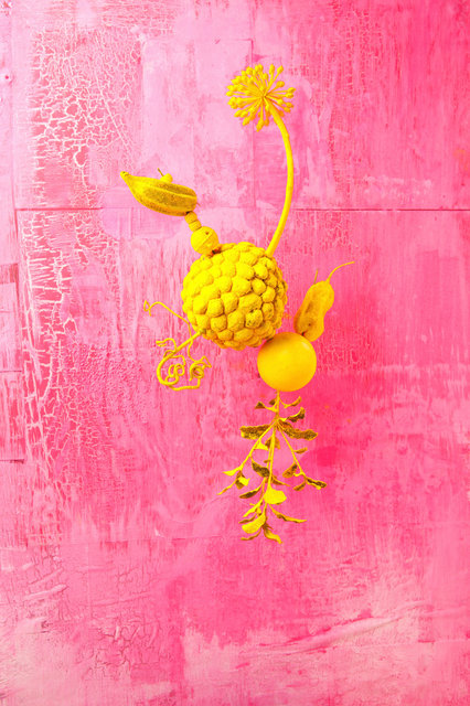 Shocking Pink Custard from the series Dalston Anatomy © Lorenzo Vitturi | Courtesy Kahmann Gallery