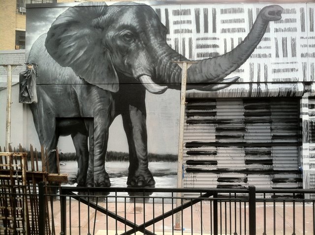 Elephant Mural