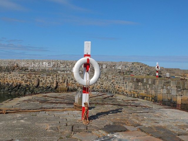 Harbour Life Saving Rings by Alison Gracie
