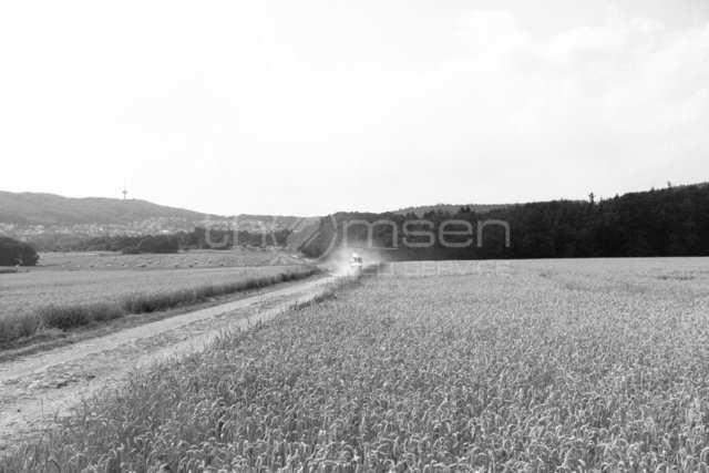 Landung auf dem anliegenden Feldweg