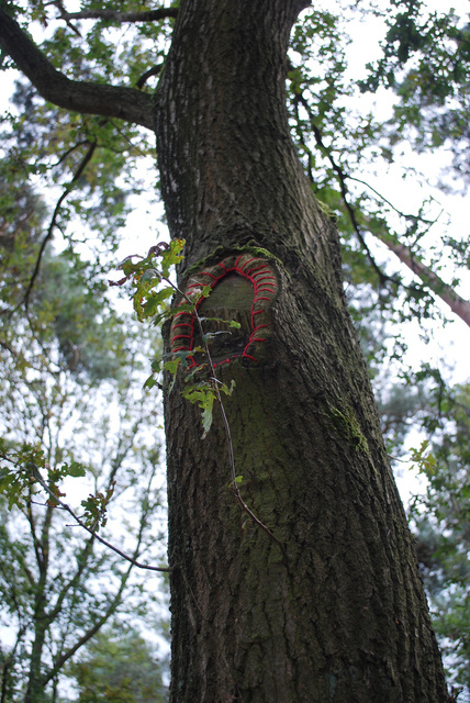 Tree restorations