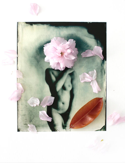 FLOWERS_1_038.JPG