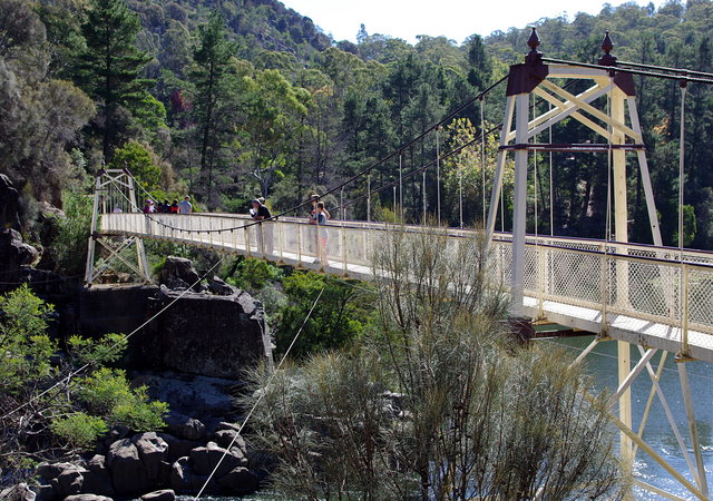 Alexandra Suspension Bridge (7) VB.JPG